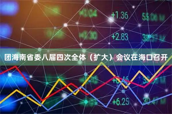 团海南省委八届四次全体（扩大）会议在海口召开