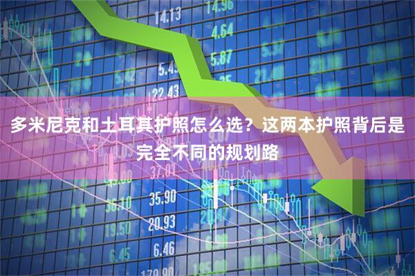 多米尼克和土耳其护照怎么选？这两本护照背后是完全不同的规划路